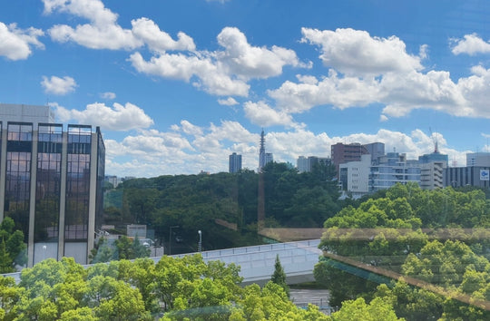 地方都市の戦い